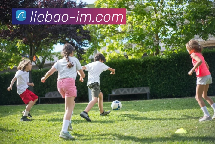 IM体育APP 封面图